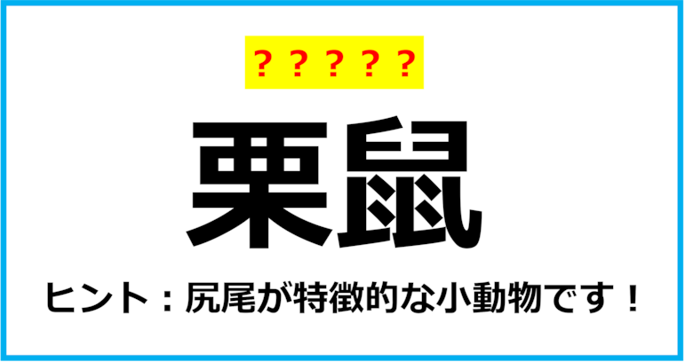 【難読クイズ】動物の名前「栗鼠」なんて読む？