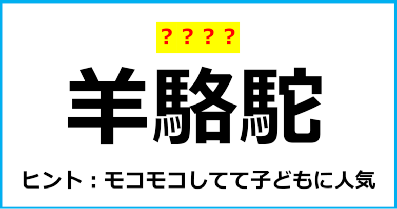 【難読クイズ】動物の名前「羊駱駝」なんて読む？