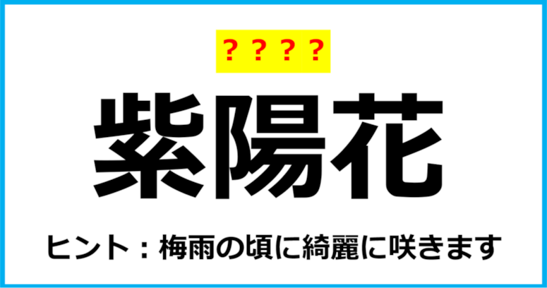 【難読クイズ】植物の名前「紫陽花」なんて読む？