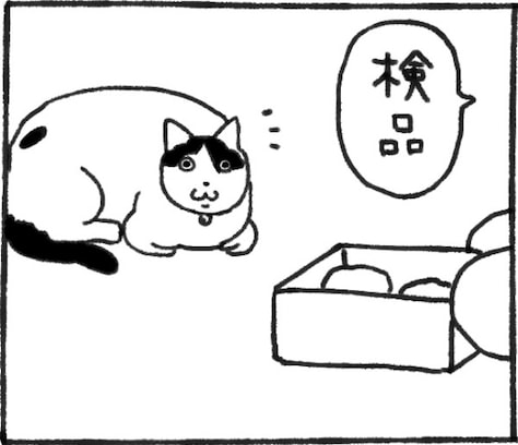 猫に餅を検品してもらったら…まさかの同族判定に「最高」「生で見たい」