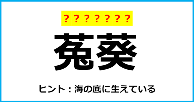 【難読クイズ】海の生き物の名前「菟葵」なんて読む？