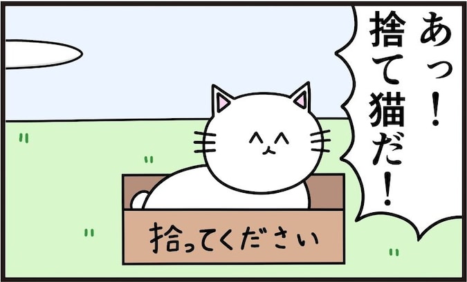 捨て猫に名付けてはいけない禁忌の名前とは？「クソワロタ」「こういうネタ好き」「どっちがモンスター」