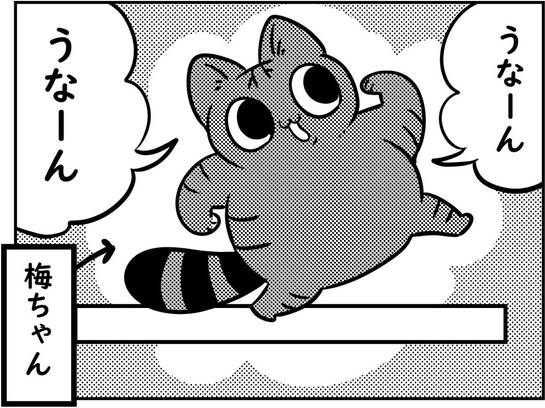 通り道を妨害され、困り果てた猫ちゃんは…可愛すぎる通行止めに「最高」「ファミコンのゲームみたい」
