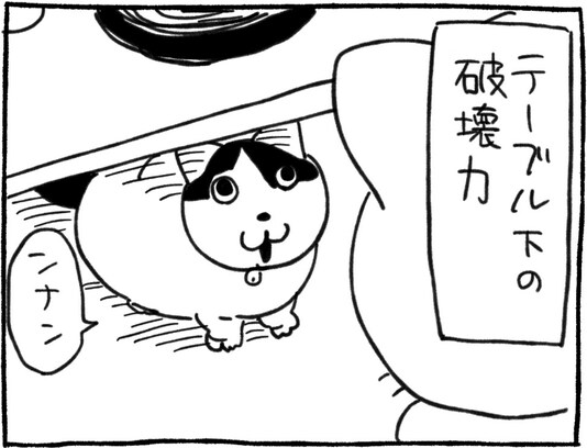 猫ちゃんの不意打ちの破壊力がやばい…テーブルの下に参上した天使に「国の宝」「可愛い」「撫でたい」