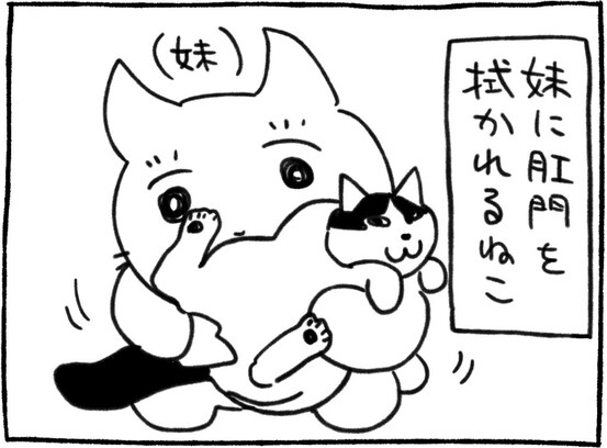 猫飼いに訪れる緊張の瞬間…「分かります」「可愛い」「あるある」