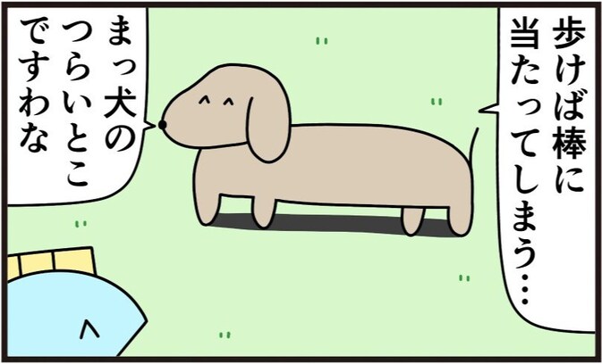 犬も歩けば棒に当たる…まさかのカッコよすぎる理由に「やだ好き」「惚れる」「素敵」