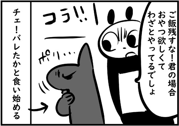 犬の躾がうますぎて「魔法みたい！」と褒められた結果…「いいなぁ」「動物園開こう」「可愛い」