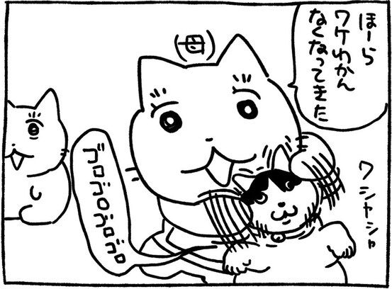 目の前でイチャつく飼い猫と母に思わず出た一言とは？「テクニシャンすぎる」「これは嫉妬」