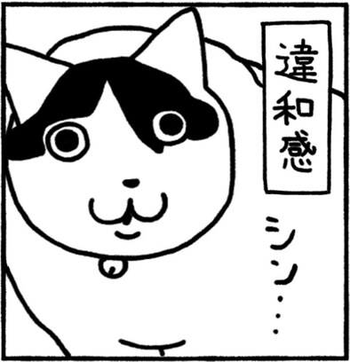 【違和感の正体は？】だんまり猫から感じる、沈黙のメッセージ…