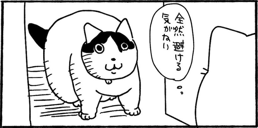 「お前が退け」いくらお願いしても微動だにしない猫に「強さを感じる」「これは敵なし」
