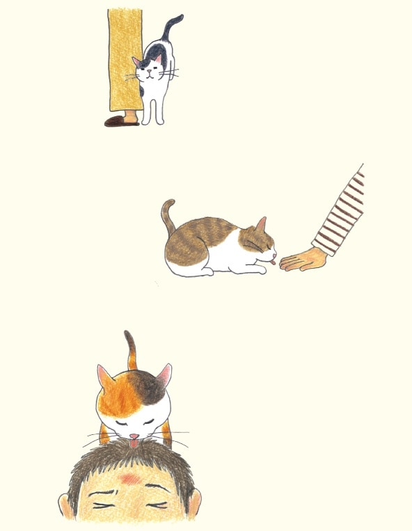 画像出典：『猫のいる家に帰りたい』（仁尾智・著、小泉さよ・イラスト／辰巳出版）