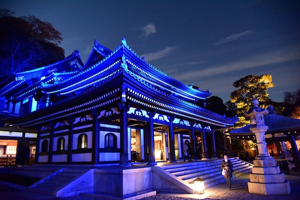 青色の光に幻想的にライトアップされた、長谷寺本堂