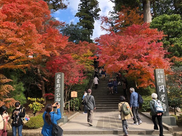 北鎌倉の円覚寺「総門」付近の紅葉