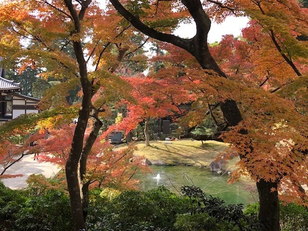円覚寺「妙香池」付近の紅葉