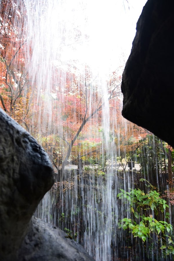 「梅見の滝」の裏側から紅葉を眺める