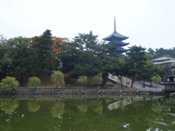 仏像ファンの聖地 阿修羅像で有名な奈良の興福寺 奈良の観光 旅行 All About