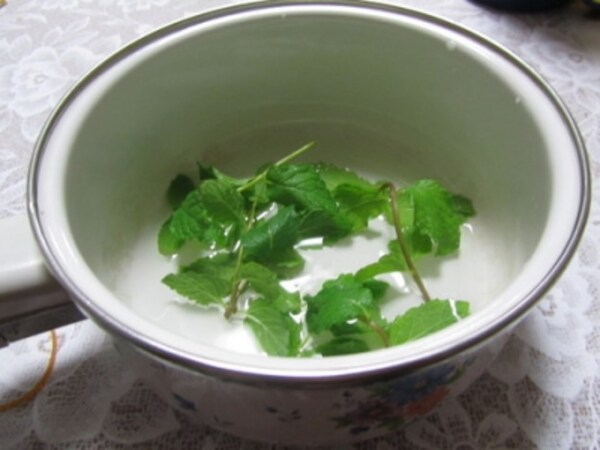 ミントの活用法 ミントシロップ 家事 All About