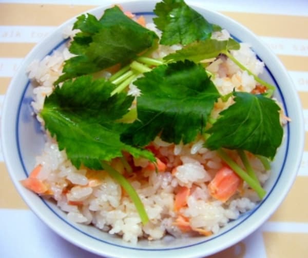 炊飯器で簡単に出来る「塩鮭ごはん」人気レシピ  炊飯器で簡単に出来る「塩鮭ごはん」人気レシピ