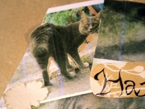 写真を一工夫 コラージュバースデーカード 子供の行事 お祝い All About