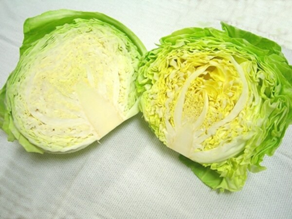キャベツの栄養 選び方 保存方法 毎日の野菜 フルーツレシピ All About