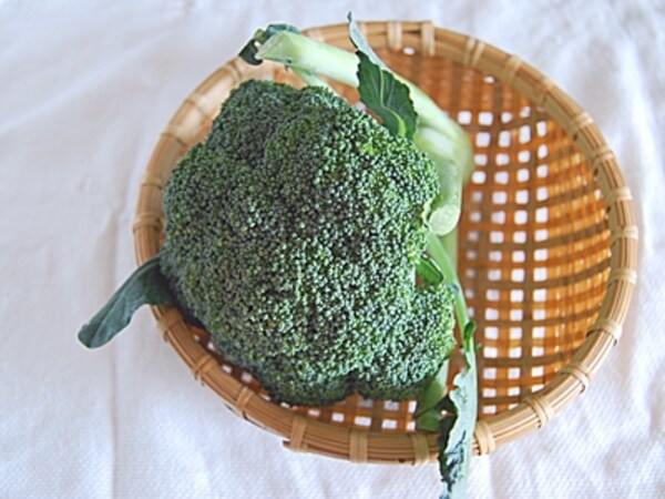 ブロッコリーの栄養 選び方 保存方法 毎日の野菜 フルーツレシピ All About