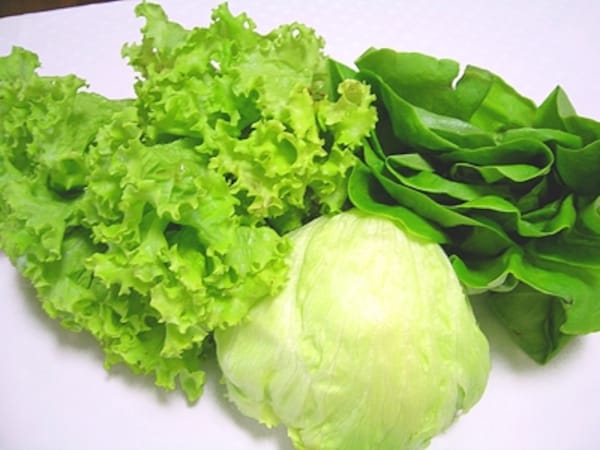 レタスの栄養 選び方 保存方法 毎日の野菜 フルーツレシピ All About