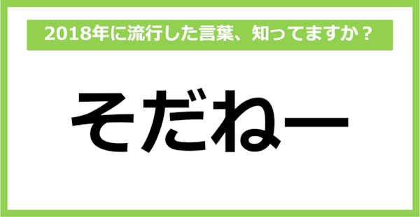 【懐かしい】2018年に流行した言葉、知ってる？（第36問）