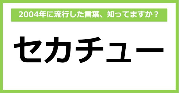 【懐かしい】2004年に流行した言葉、知ってる？（第53問）