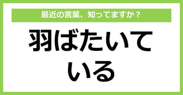 【知らないと時代遅れ？】最近の言葉、知ってる？（第30問）