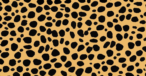 cheetah_01
