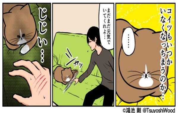 まだまだ元気でいてくれよ 年老いた猫に手を伸ばす飼い主 その時の猫の反応が面白すぎる Facebook Navi フェイスブックナビ