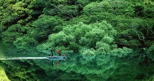 う 美しい 水面に映った新緑を撮影したある写真がきれいすぎると話題に Facebook Navi フェイスブックナビ