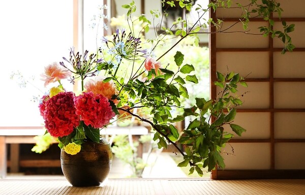 『 挿花 常磐艸 』未陽齋篤甫 著 花道家元未生御流 花道家元藏板 文政十三年序 挿花 常磐艸 』未陽齋篤甫 著 花道家元未生御流