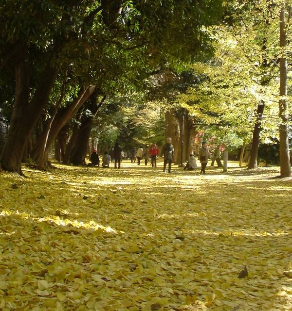 10. Tamagawa Aqueduct:  Naito-Shinjuku Water Promenade