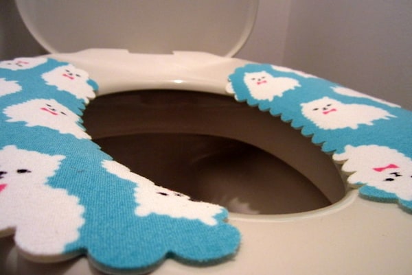 3. There Tons of Different Types of Toilet Covers (Both Disposable & Washable)