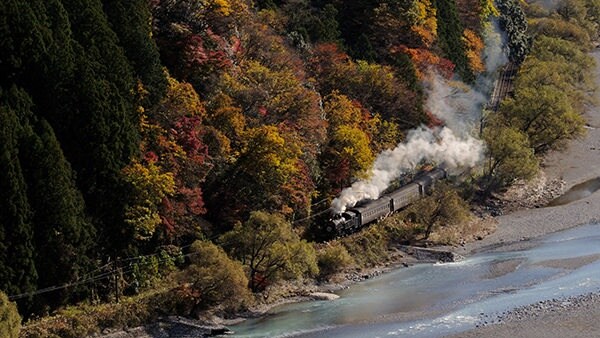 2. Oigawa Railway (Shizuoka)