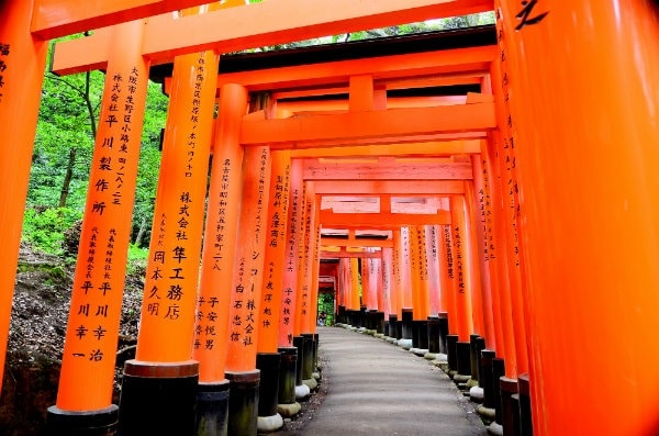 2. The Kyoto Trail (Kyoto)