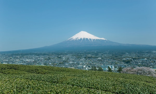 4. A Street with a View of Mount Fuji (Fujinomiya, Shizuoka)