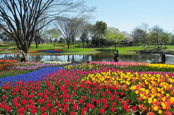 2. Showa Memorial Park (Tokyo)