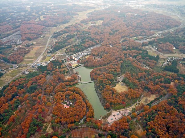 1. Musashi Kyūryō National Government Park (Saitama)