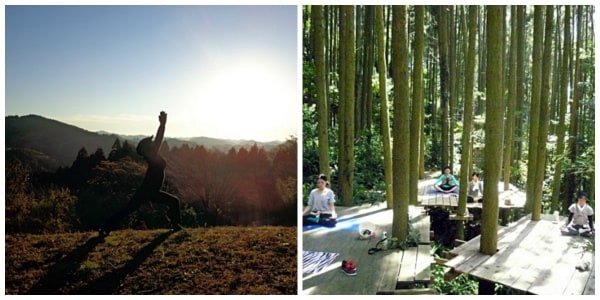 4. Forest Yoga Experience