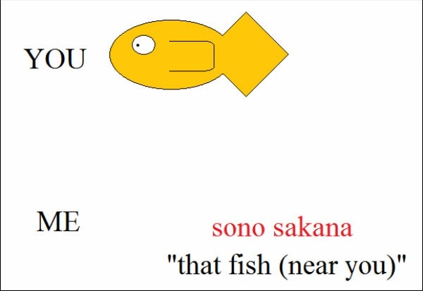 5. Differentiating between 'sono' and 'ano'