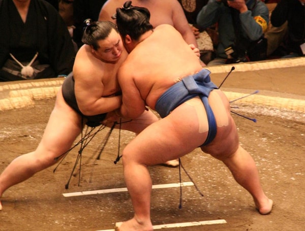 1. Watch Sumo Training