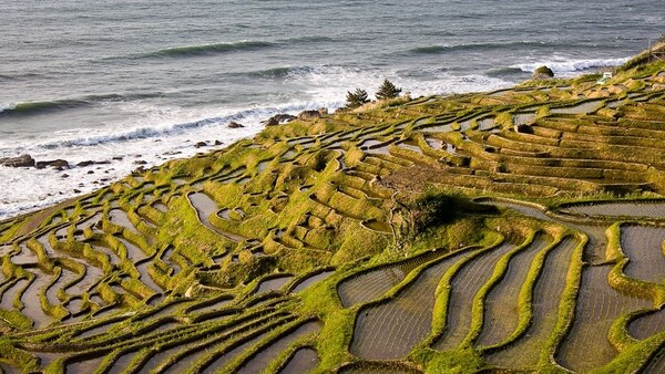 Rice Terraces on the Noto Peninsula (Ishikawa)