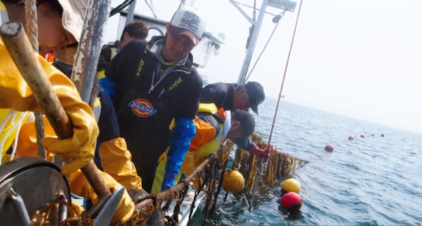 Kesennuma Fisherman's Life Experience Program (Miyagi)