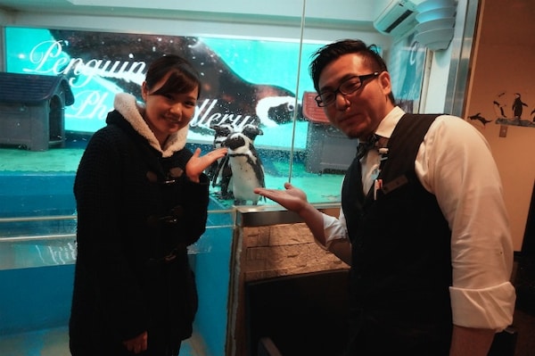 1. Penguin Bar (Ikebukuro)