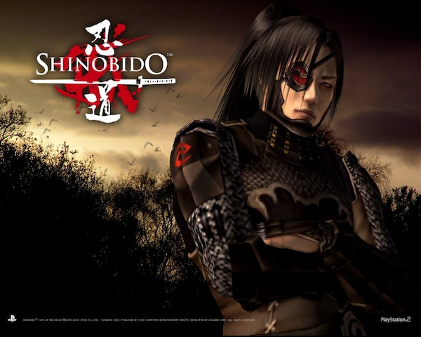 2. Shinobido: Way of the Ninja (Playstation 2)