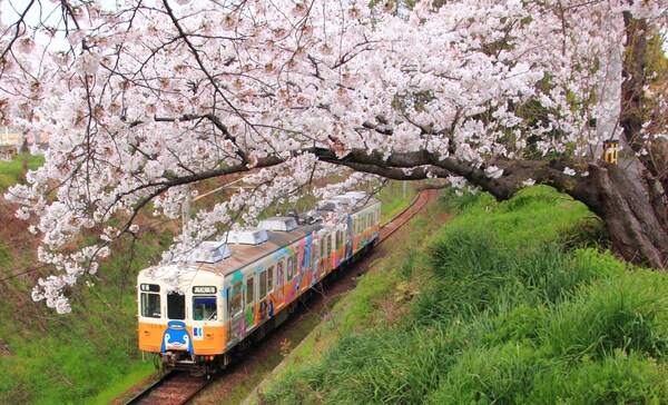 10. Kotoden Kotohira Line (Kagawa)
