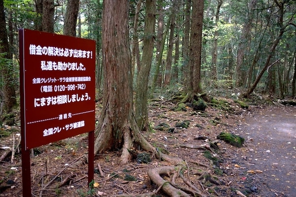 9. ที่ญี่ปุ่นมีป่าแห่งการฆ่าตัวตาย