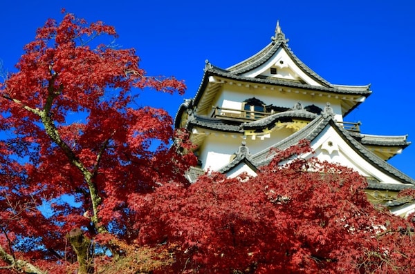 3. Hikone Castle (Shiga)